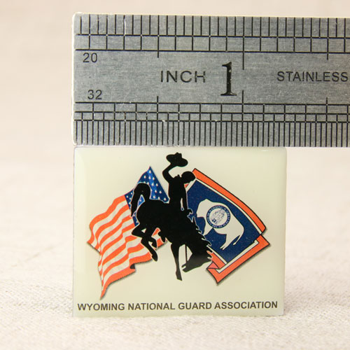 National Guard Association Lapel Pins