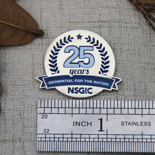 Custom Lapel Pins for NSGIC Custom Lapel Pins for NSGIC