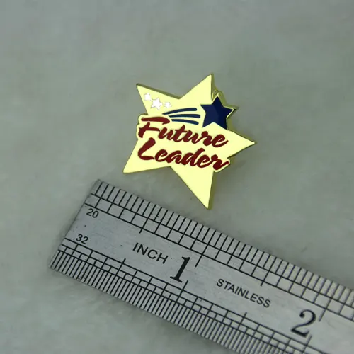 Future Leader Lapel Pins