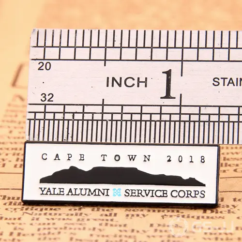 Service corps custom pins Service corps custom pins