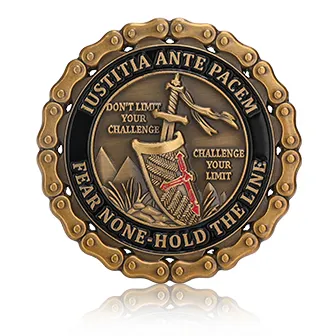 Bike Chain Edge Coins 2