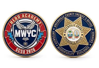 Accountability & Resilience Coin