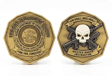 Corrections Tactical Training & Range Instructor Coin