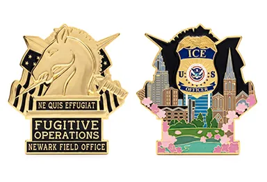 Fugitive Operations Challenge Coin