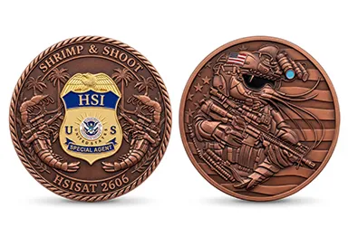 Homeland Security Investigations Coin