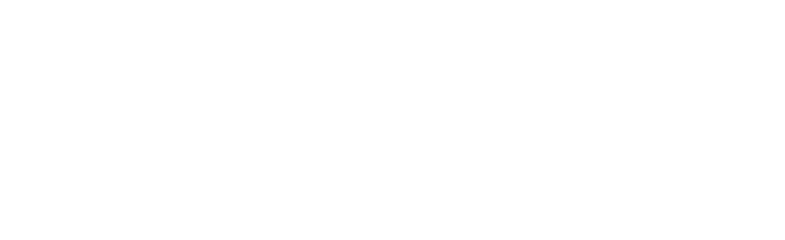 Seal Future Foundation Logo