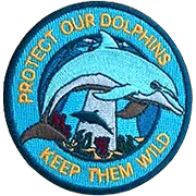 Custom Patches