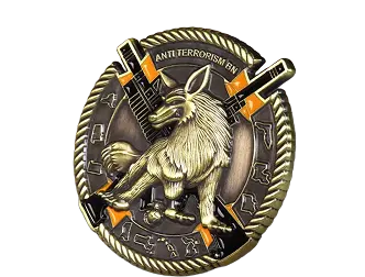Challenge Coin Options