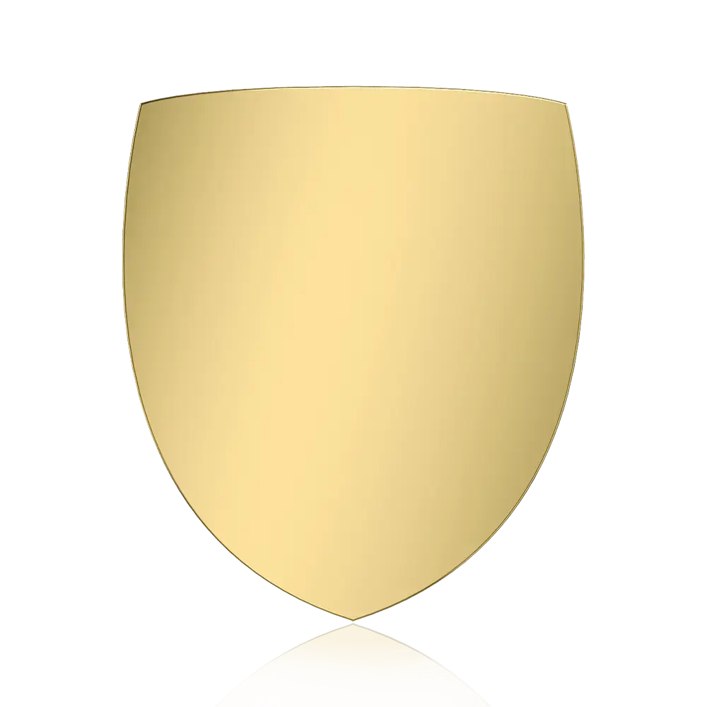Shield shaped custom pin