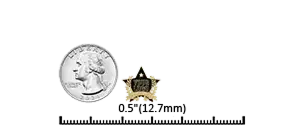 Custom pin size example showing a 0.5 inch pin measurement