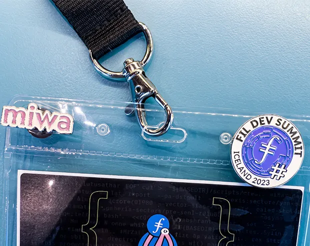 Two custom enamel pins attached to a clear lanyard ID badge pouch.