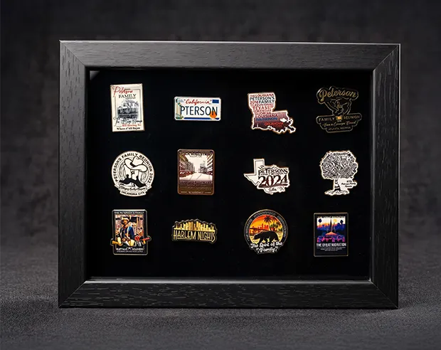 A collection of pins displayed inside a black framed shadow box