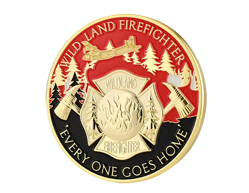 Custom 3D Coins