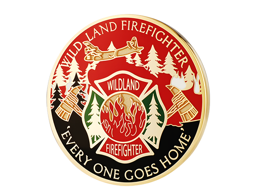 Custom Hard Enamel Coins