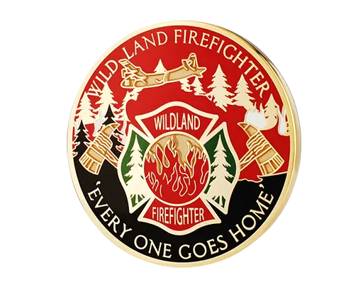 Custom Hard Enamel Coins