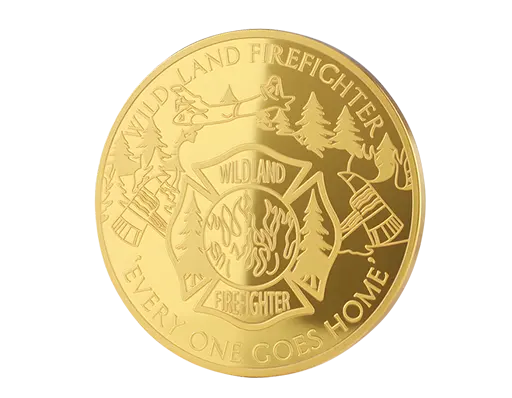 Custom Minted Coins