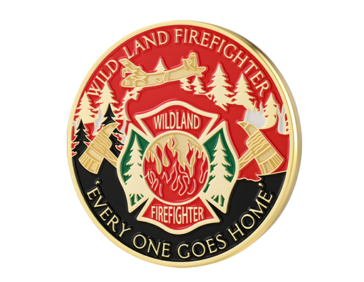 Custom Soft Enamel Coins