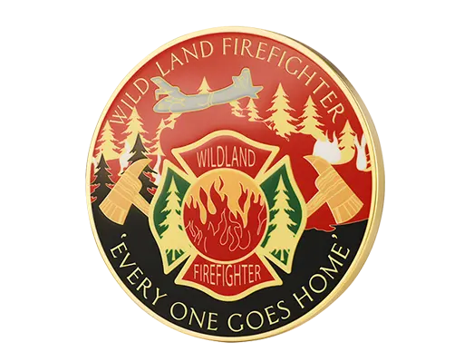 Custom UV Printed Coins