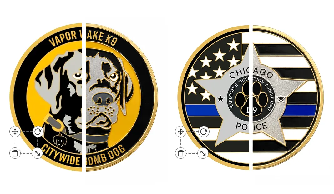 Vapor Wake Bomb K9 Challenge Coins