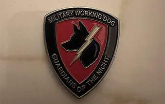Night Guardian MWD Crest Challenge Coin