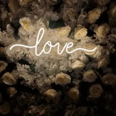 love wedding neon signs