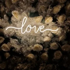 love wedding neon signs