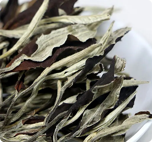 Moonlight Beauty White Tea