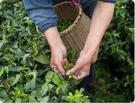 Promotional Soccer Ball Wrist Strap Key Chain