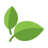 Green & Organic