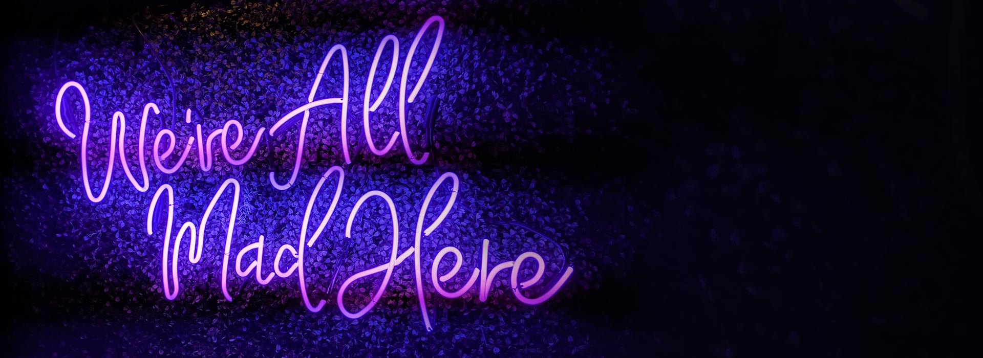 Custom Neon Logo Signs