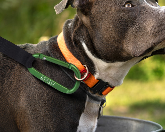 Carabiner Strap Keychains for dog