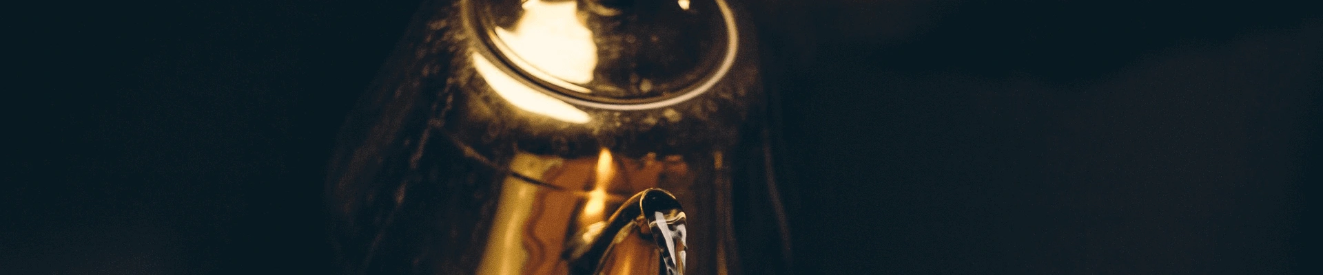 Terms And Conditions