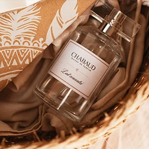 chabaud logo stickers