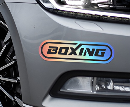 Boxing Holographic Stickers