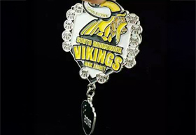 Vikings Trading Pins 1