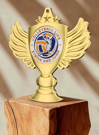 Custom Shiny Volleyball Medal