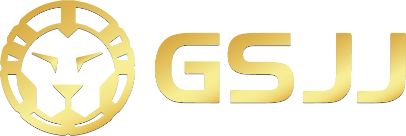 GS-JJ.com