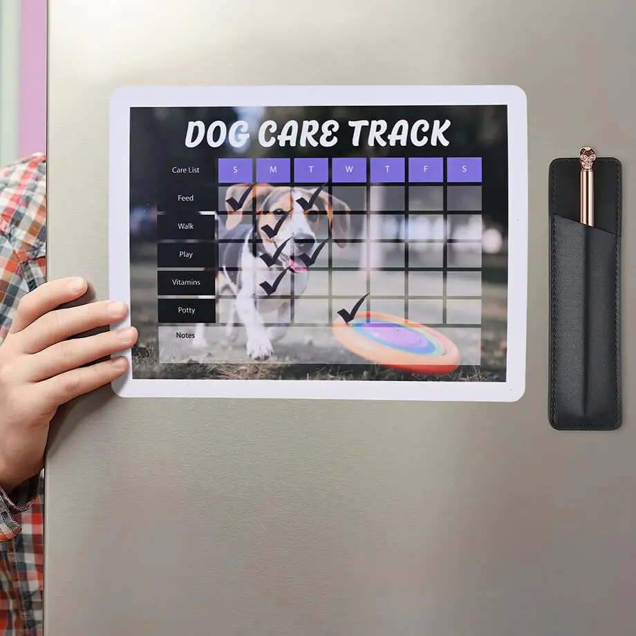 Custom Schedule Magnets