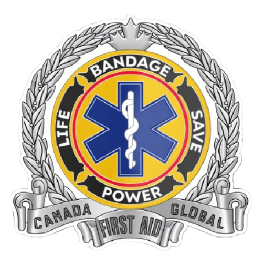 2-D rendering effect of custom EMS challenge coins