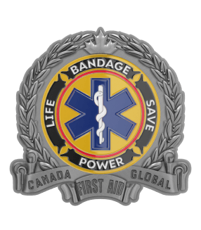 3-D rendering for real-to-life products effect of EMS challenge coins
