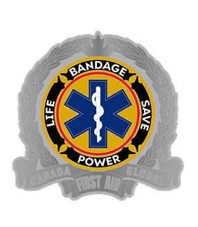 2-D rendering effect of custom EMS challenge coins
