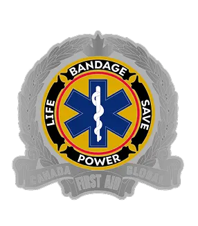 2-D rendering effect of custom EMS challenge coins 2-D rendering effect of custom EMS challenge coins