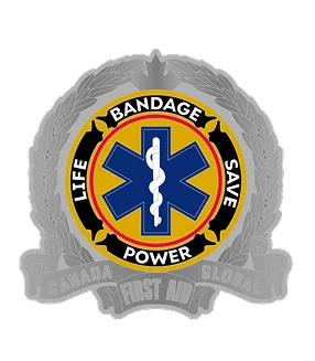 2-D rendering effect of custom EMS challenge coins 2-D rendering effect of custom EMS challenge coins