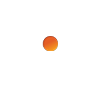 DISCOVER