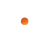 DISCOVER