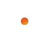 DISCOVER