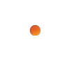 DISCOVER
