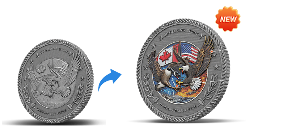 3D UV Printed Custom Challenge Coins Canada Case