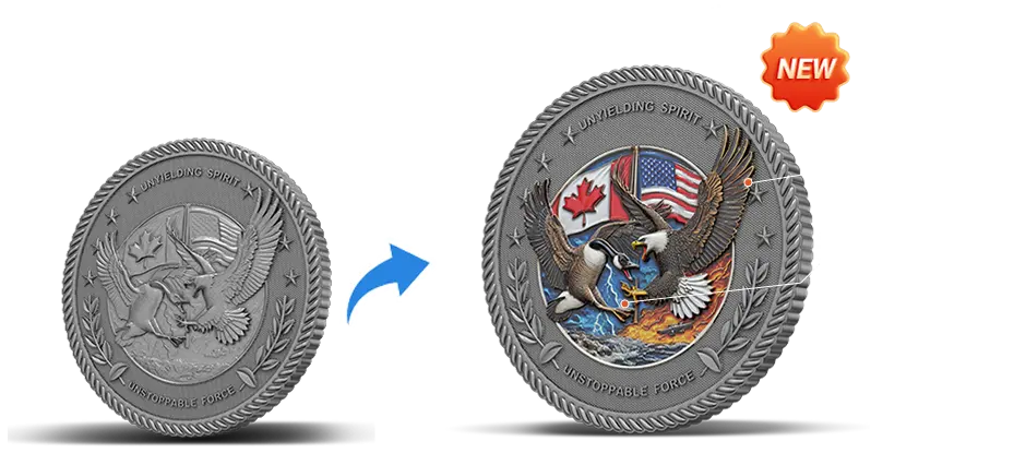 3D UV Printed Custom Challenge Coins Canada Case