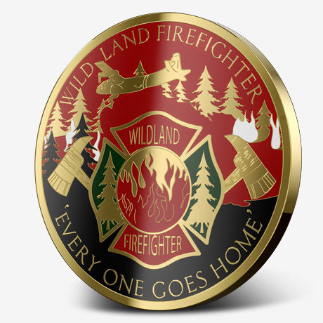 Hard Enamel Custom Coins